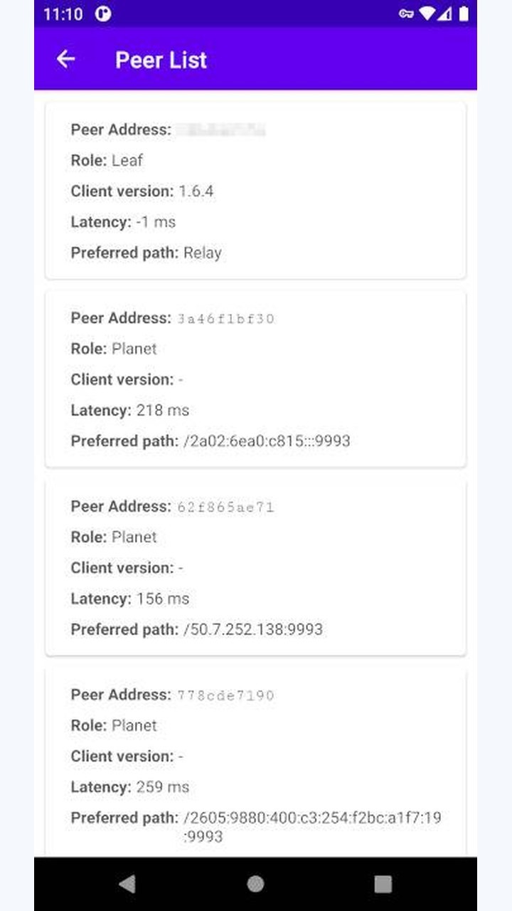 تصویر Zerotier Fix