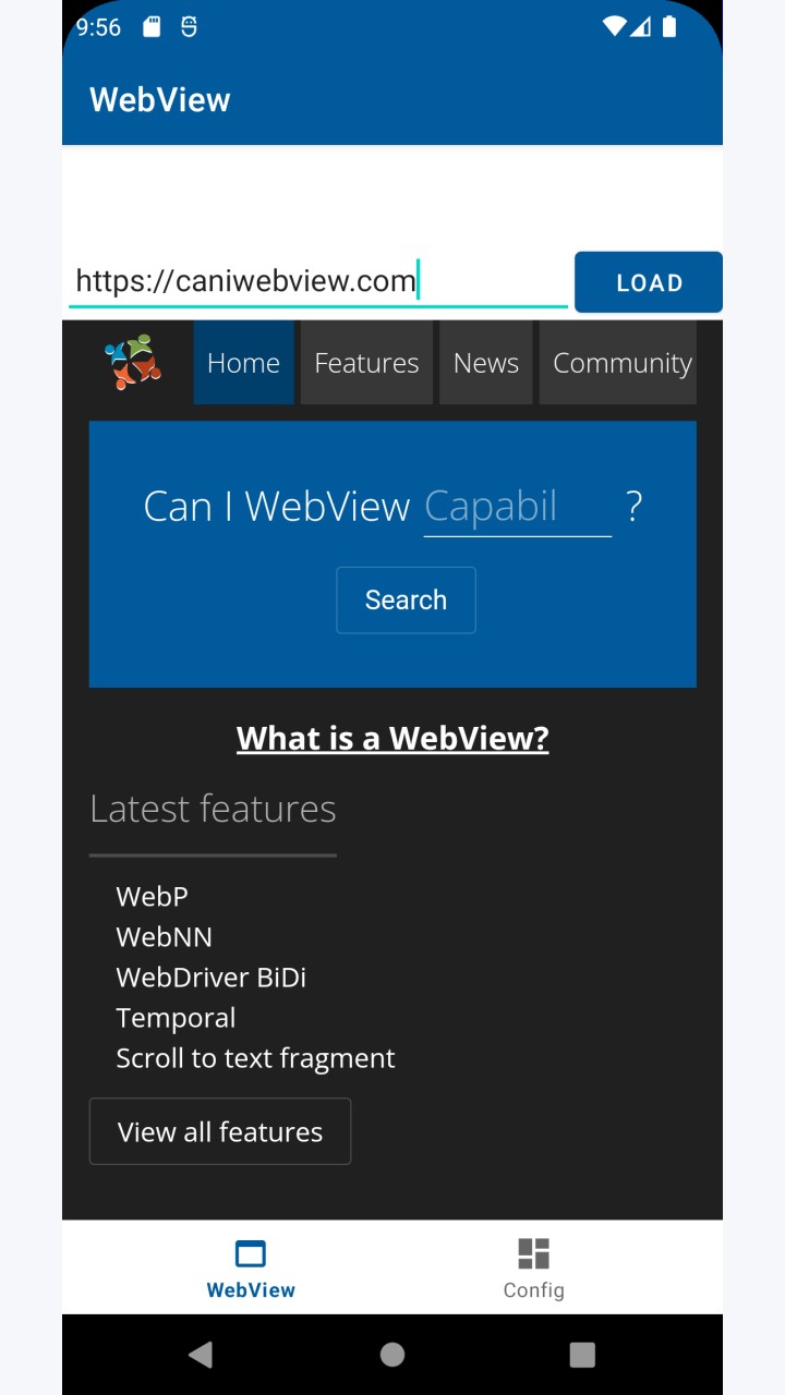 تصویر CanIWebView