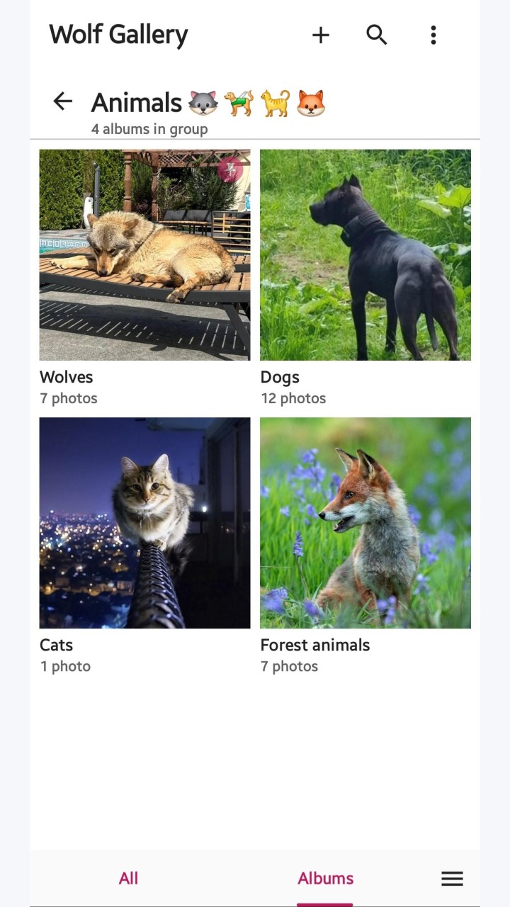 تصویر Wolf Gallery