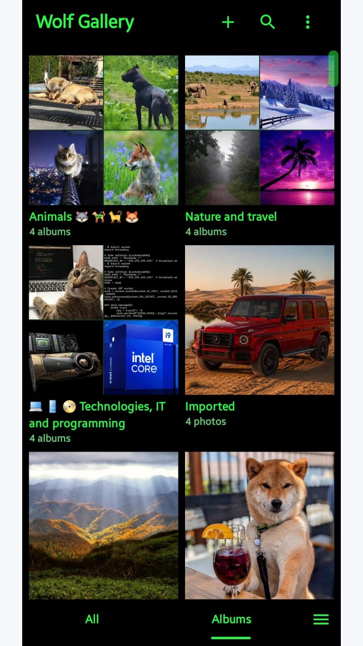 تصویر Wolf Gallery