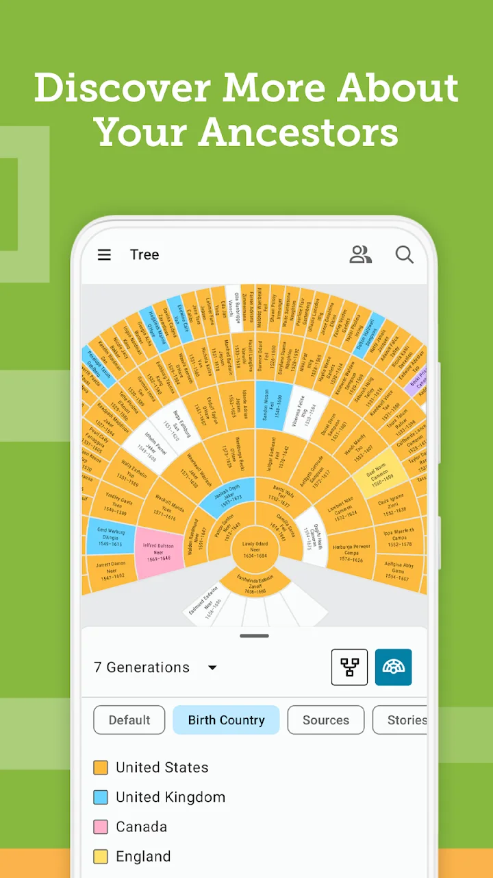 تصویر درخت خانوادگی FamilySearch