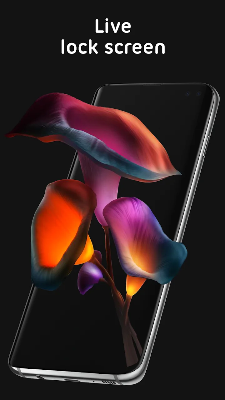 تصویر پس‌زمینه‌های زنده Pixel 4D™
