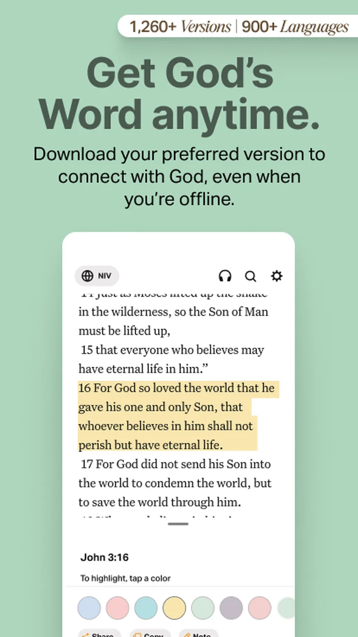 تصویر اپلیکیشن کتاب مقدس آفلاین NIV KJV